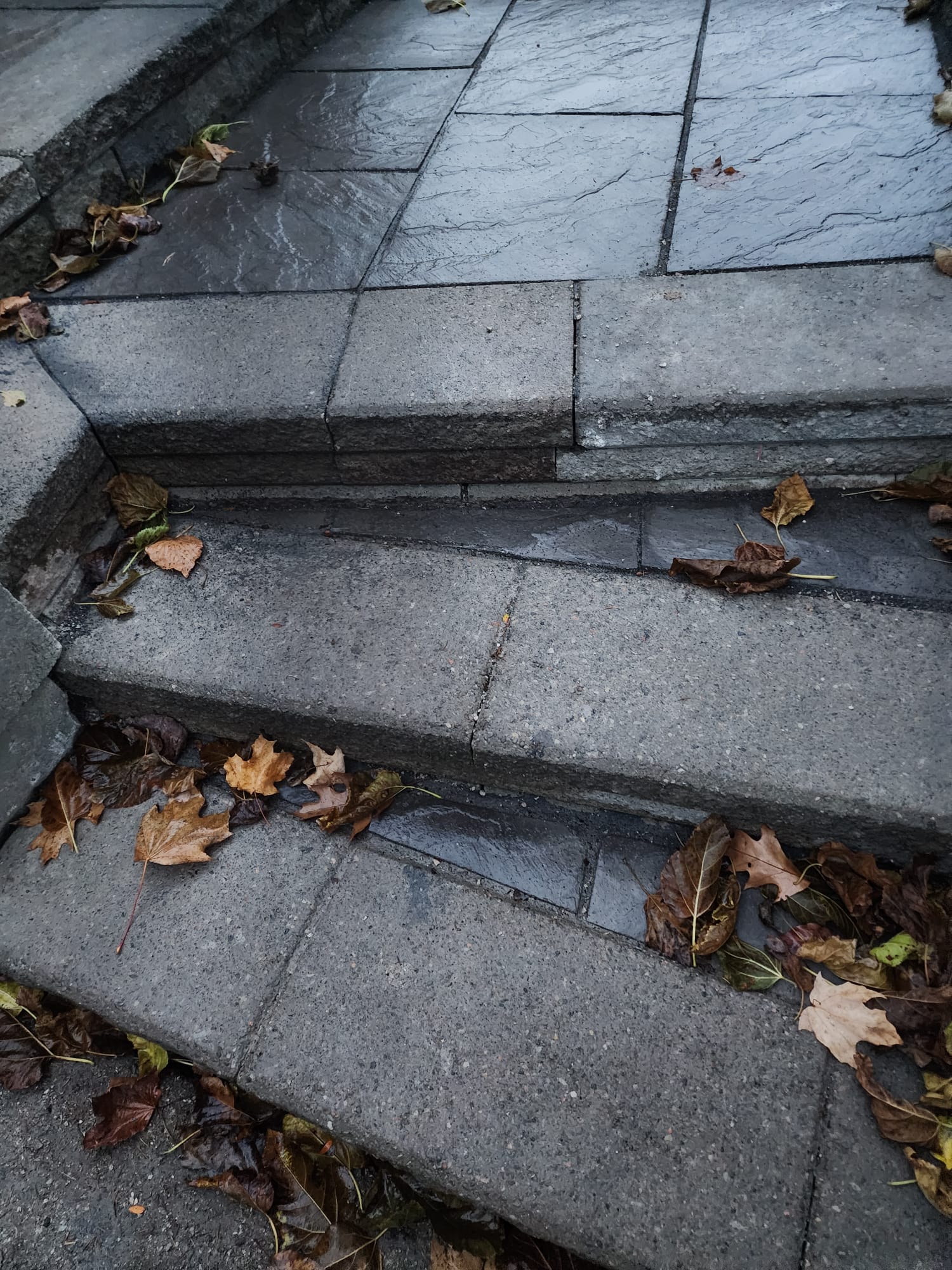 Close-up of textured stone steps with fall leaves
